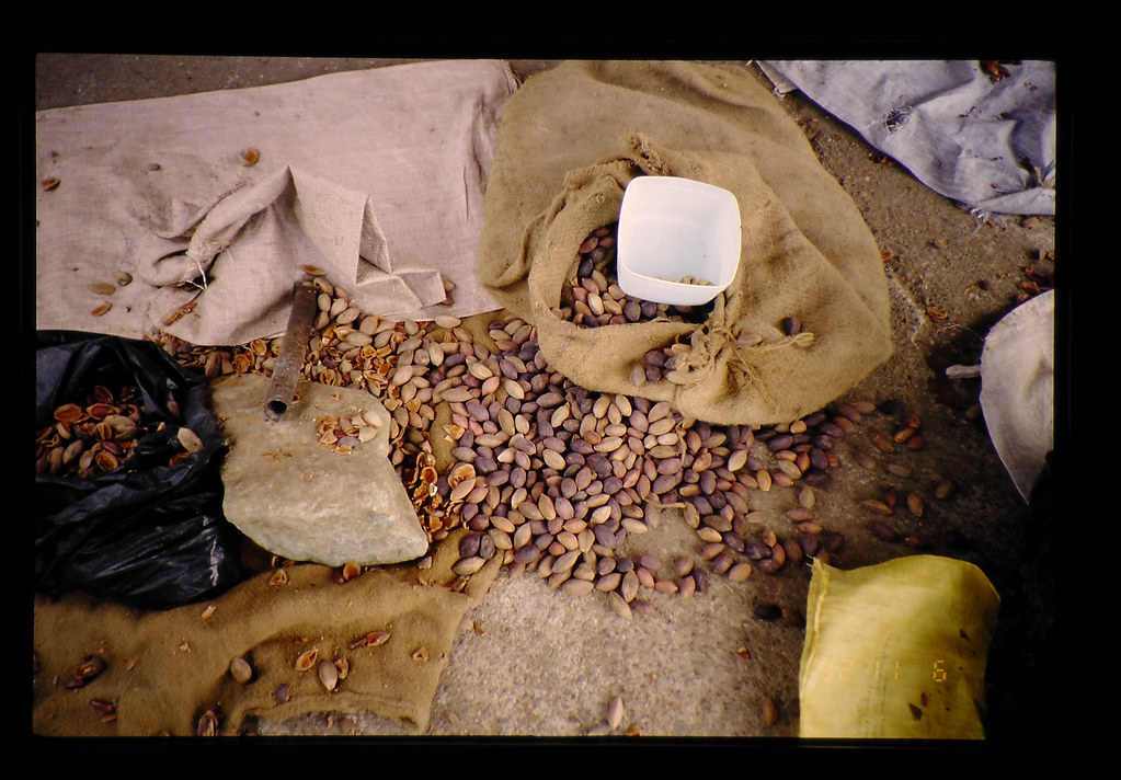 Ngali nut snack