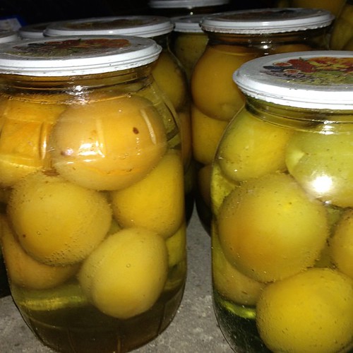 Apricot preserves
