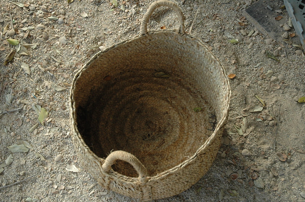 Woven palm basket