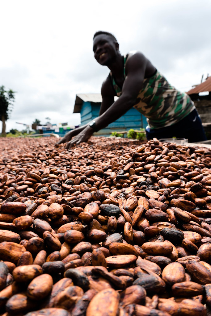 Ghanaian cocoa chocolate