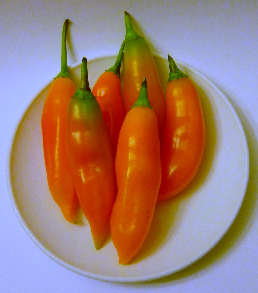 Ají amarillo paste