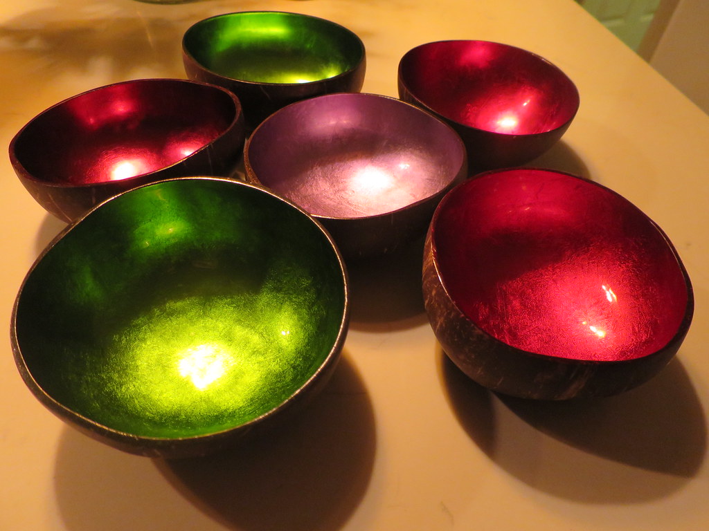 Coconut shell bowl