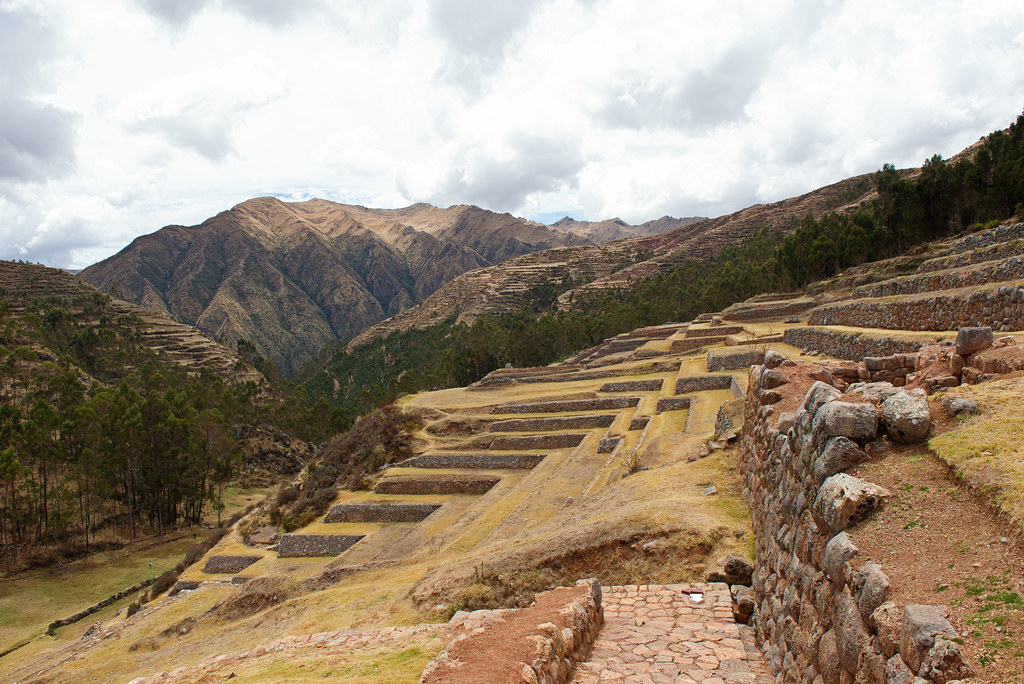 Peruvian quinoa