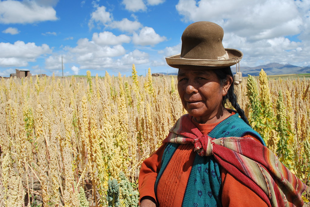 Bolivian quinoa