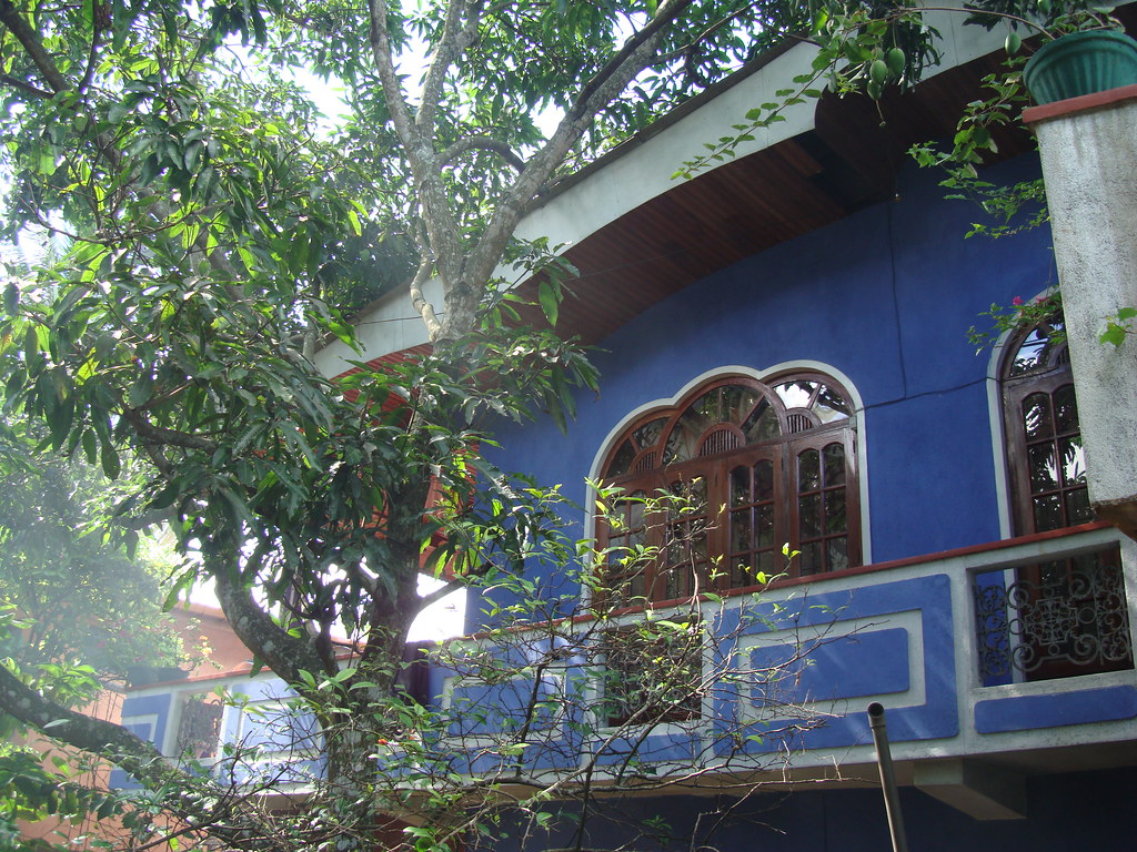 Ceylon tea