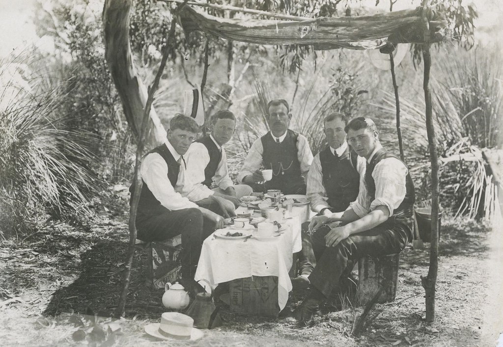 Rooibos-style bush tea