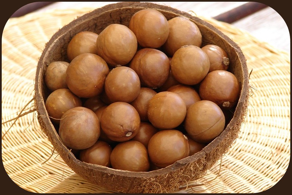 Macadamia nuts