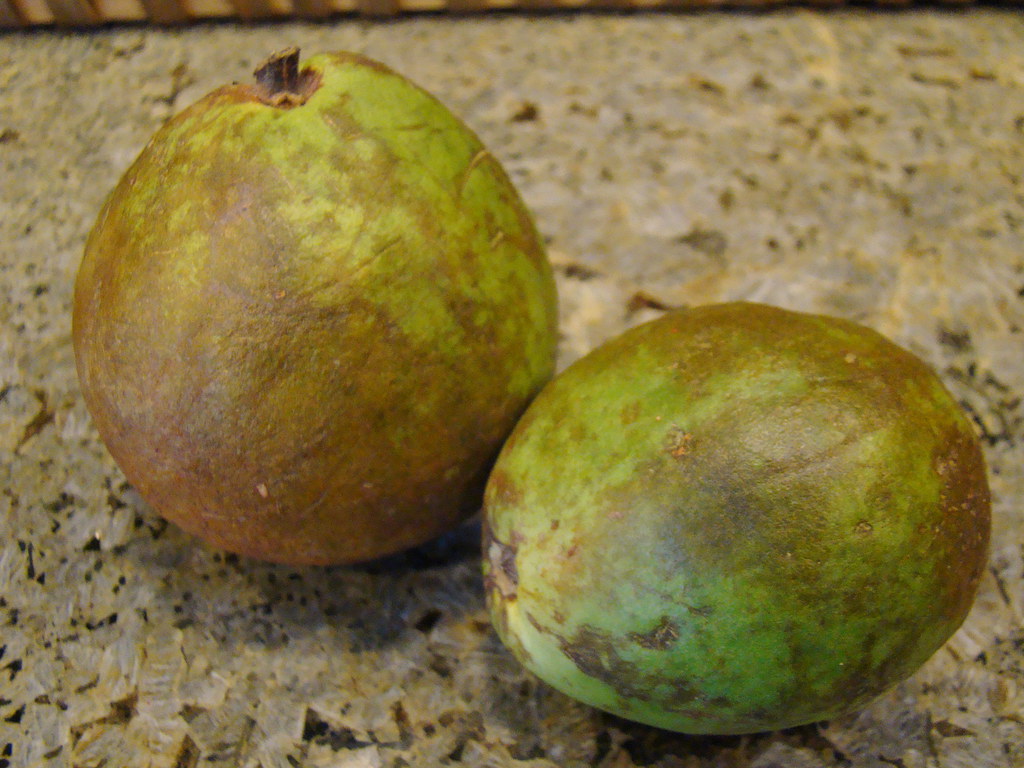 Fruit preserve from Cuba
